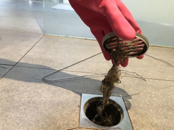 Drain cleaning in Raytown, MO by Kevin Ginnings Plumbing Service Inc.